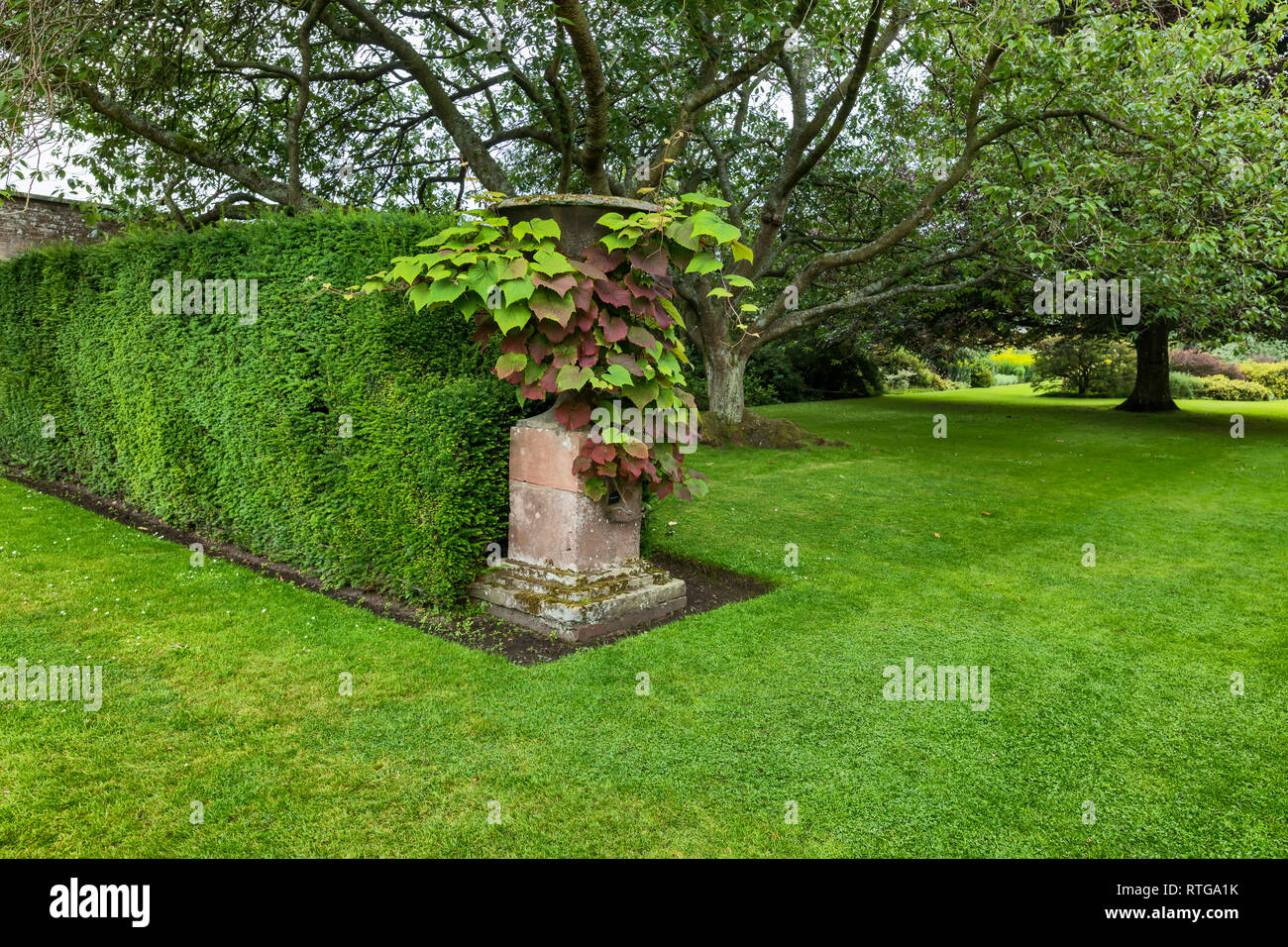 Ummauerten Garten, Falkland Palace, Fife, Schottland, Großbritannien Stockfoto