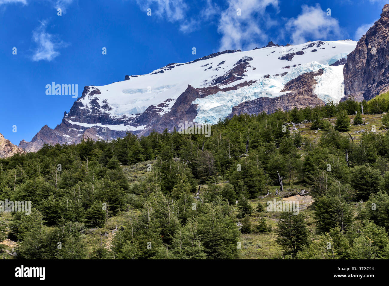 Nationalpark Torres del Paine, Magallanes region, Patagonien, Chile Stockfoto