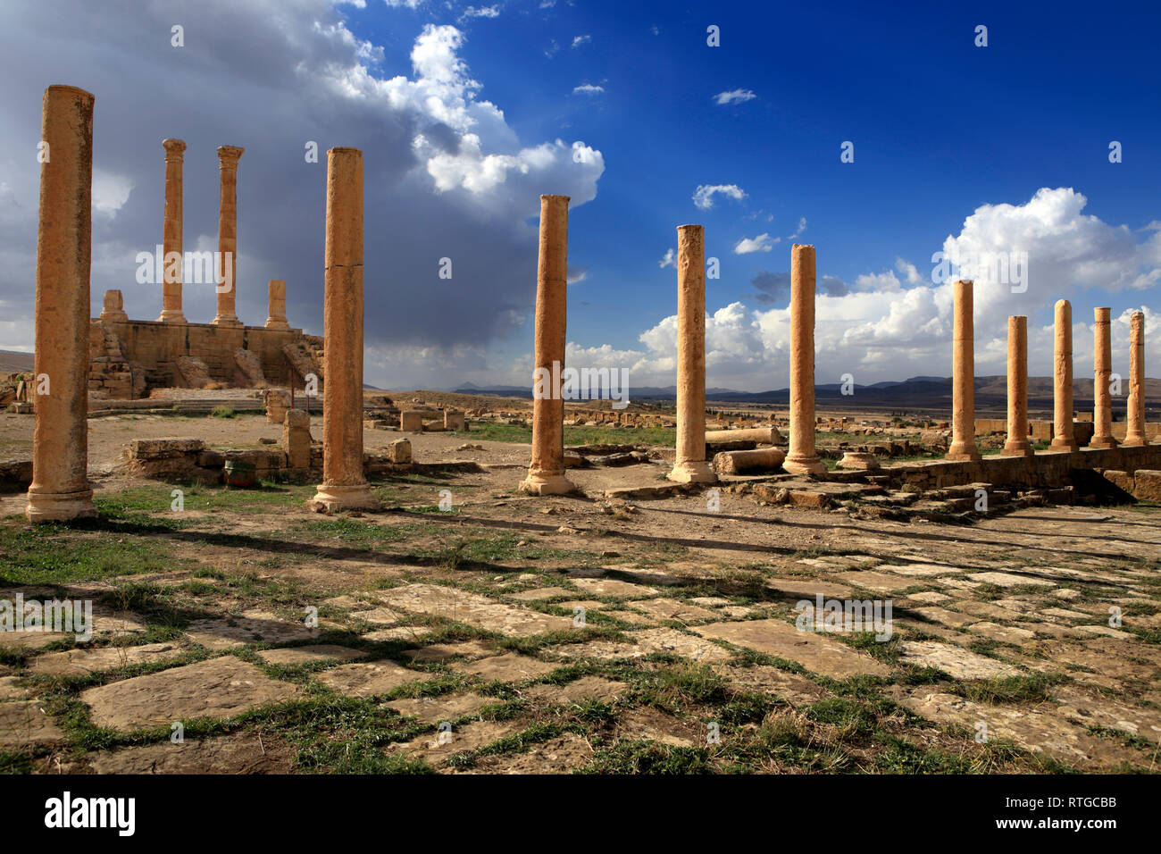 Alte Römerstadt (2-3. Jahrhundert), Timgad, Provinz Batna, Algerien Stockfoto