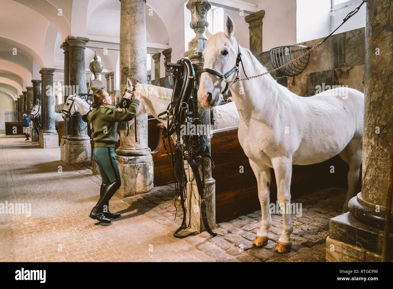 20. Februar 2019. Royal stabil in Dänemark Kopenhagen im Gebiet Christiansborg Slot. Mann junge Frau rider Jockey vorbereiten für ein Zaum, Zaum, oc Stockfoto