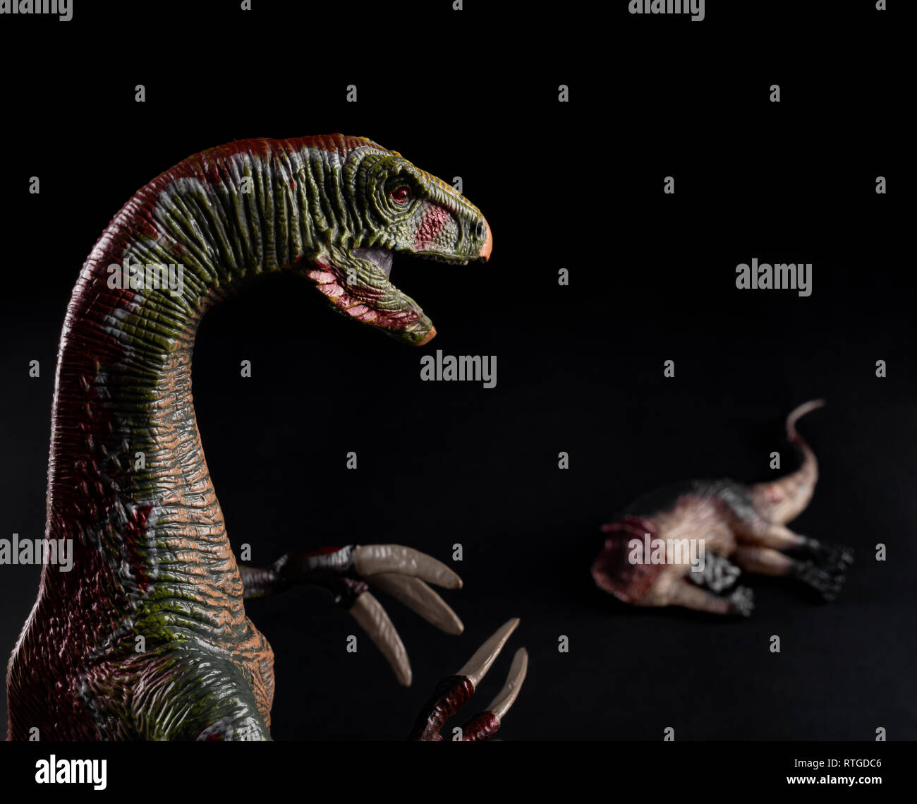 Nothronychus vor einem Dinosaurier Körper auf dunklem Hintergrund Stockfoto