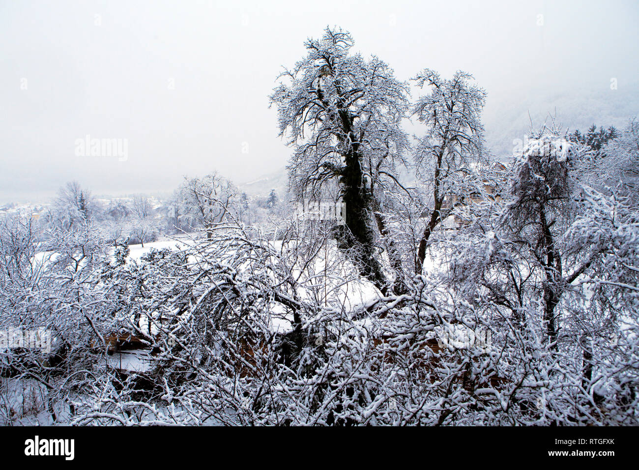 Arves Tal in der Nähe von Thyez, Haute-Savoie Rhone-Alpes, Frankreich Stockfoto