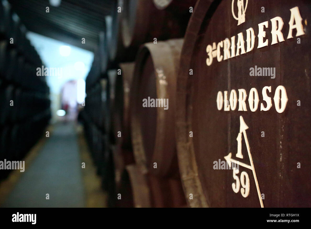Fässer mit Sherry bei Bodega, Jerez De La Frontera, Andalusien, Spanien Stockfoto