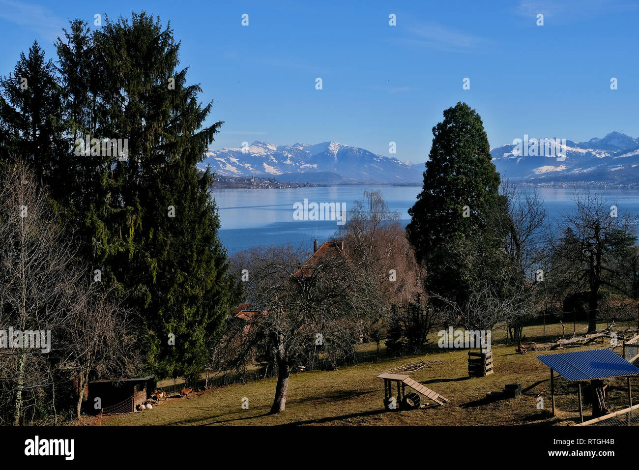 Blick von der Halbinsel Au Ÿber den ZŸrichsee in Rapperswil und die schneebedeckten Schweizer Alpen. Stockfoto