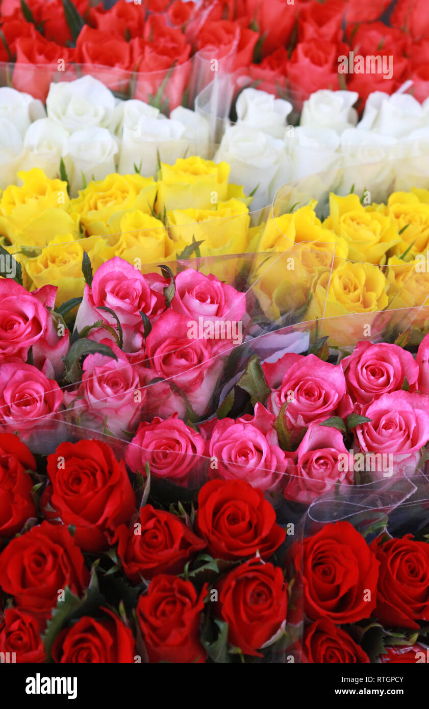 Mehrfarbige rose Bündeln nebeneinander auf einem Markt Stockfoto
