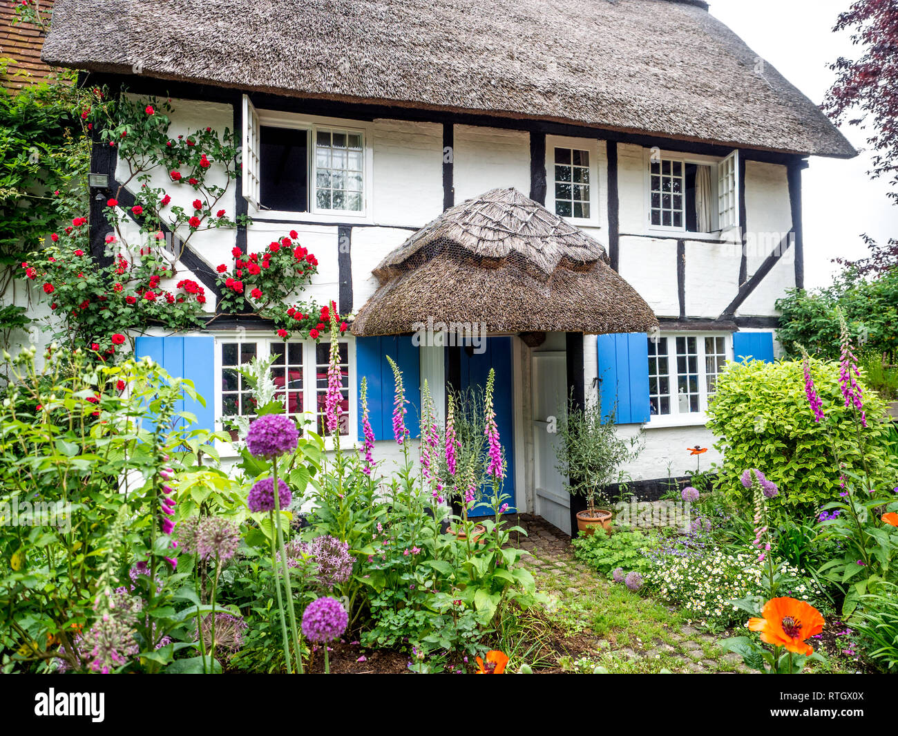 Eine fundamentale Chocolate Box Postkarte typischen reetgedeckten alten Tudor Jacobean Englisch Ferienhaus mit Garten in voller Blüte Stockfoto