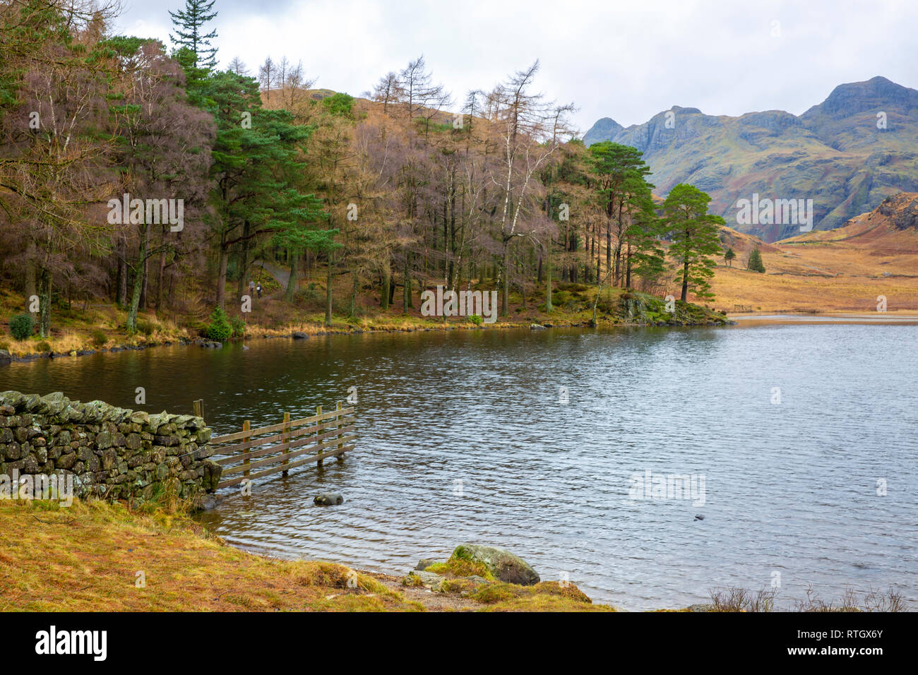 Blea Tarn im Great Langdale, Nationalpark Lake District, Cumbria, England Stockfoto