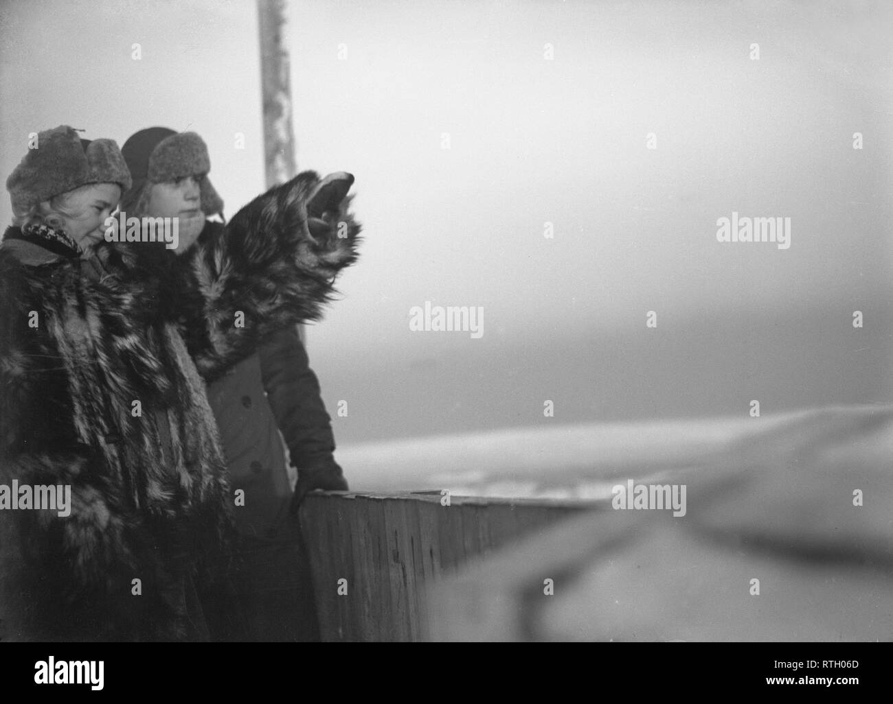 Im Winter Krieg. Ein militärischer Konflikt zwischen der Sowjetunion und Finnland. Es begann mit einer sowjetischen Invasion im November 1939, als sowjetische infantery die Grenze auf der Karelischen Landenge gekreuzt. Über 9500 Schwedische freiwillige Soldaten im Krieg teilgenommen. Abgebildet ist eine junge Frau an der Spitze eines Gebäudes in Helsinki. Sie ist ein Teil der Luftverteidigung Personal und hat die wichtige Aufgabe, weiterhin beobachten und alle feindlichen Flugzeuge. Das Wetter war während des Krieges exteremely Kalt und war so niedrig wie minus 40 Grad. Sie ist daher das Tragen eines warmen Pelzmantel. Januar 1940. Foto Kristoffersson ref 99-12. Stockfoto