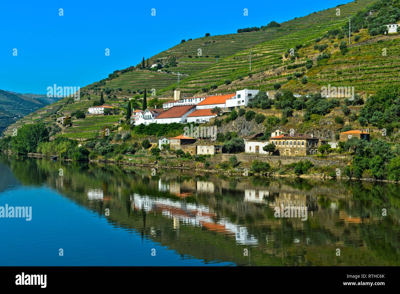Weingut Quinta de la Rosa bei den Fluss Douro und Pinhao, Douro-tal, Portugal Stockfoto