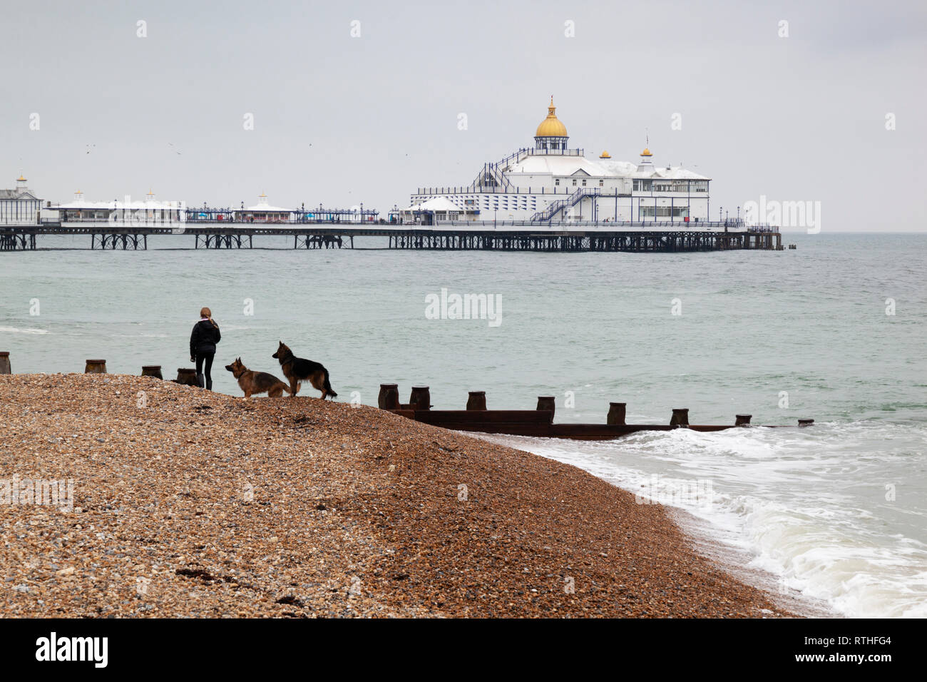 Eastbourne Pier mit Hund Walker auf dem Kiesstrand, Eastbourne, East Sussex, England, Vereinigtes Königreich, Europa Stockfoto