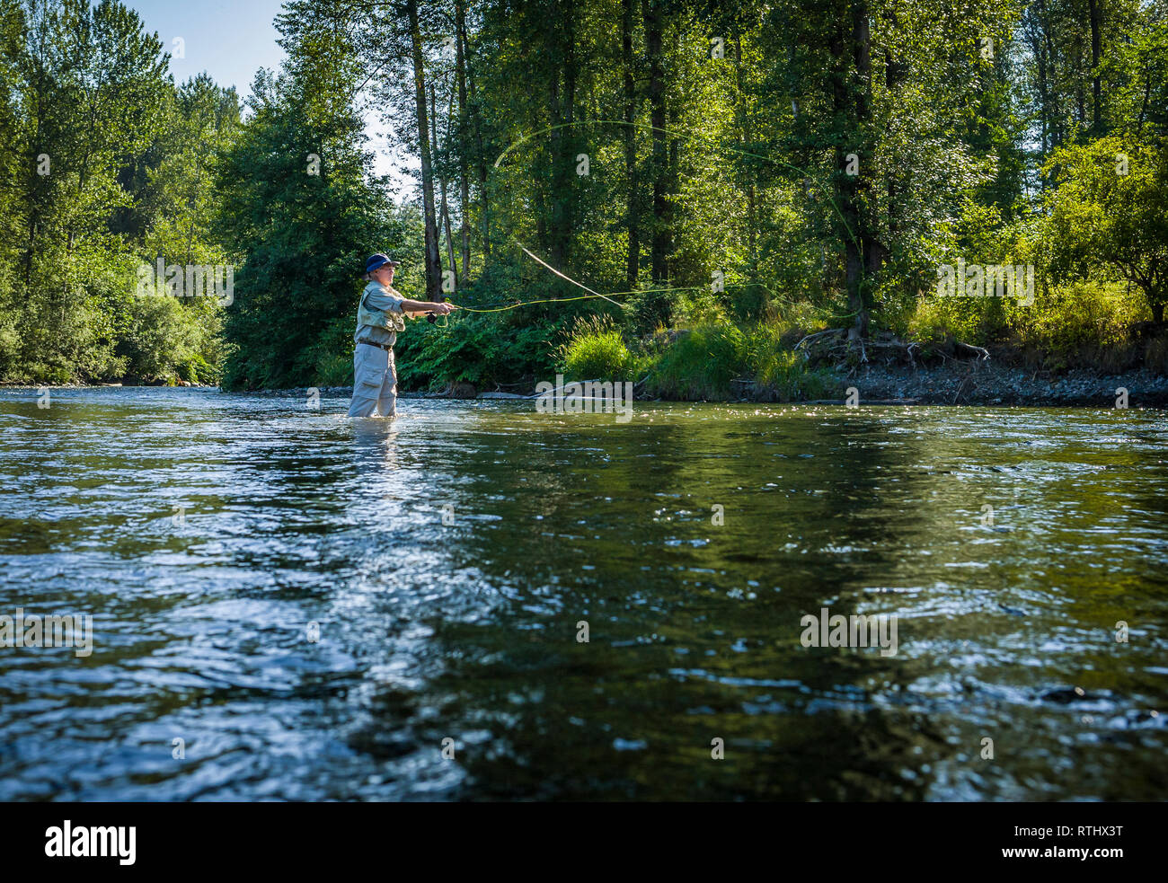 Ein 70 Jahre alter Mann Fliegenfischen in der Cedar River, Western Washington, USA. Stockfoto