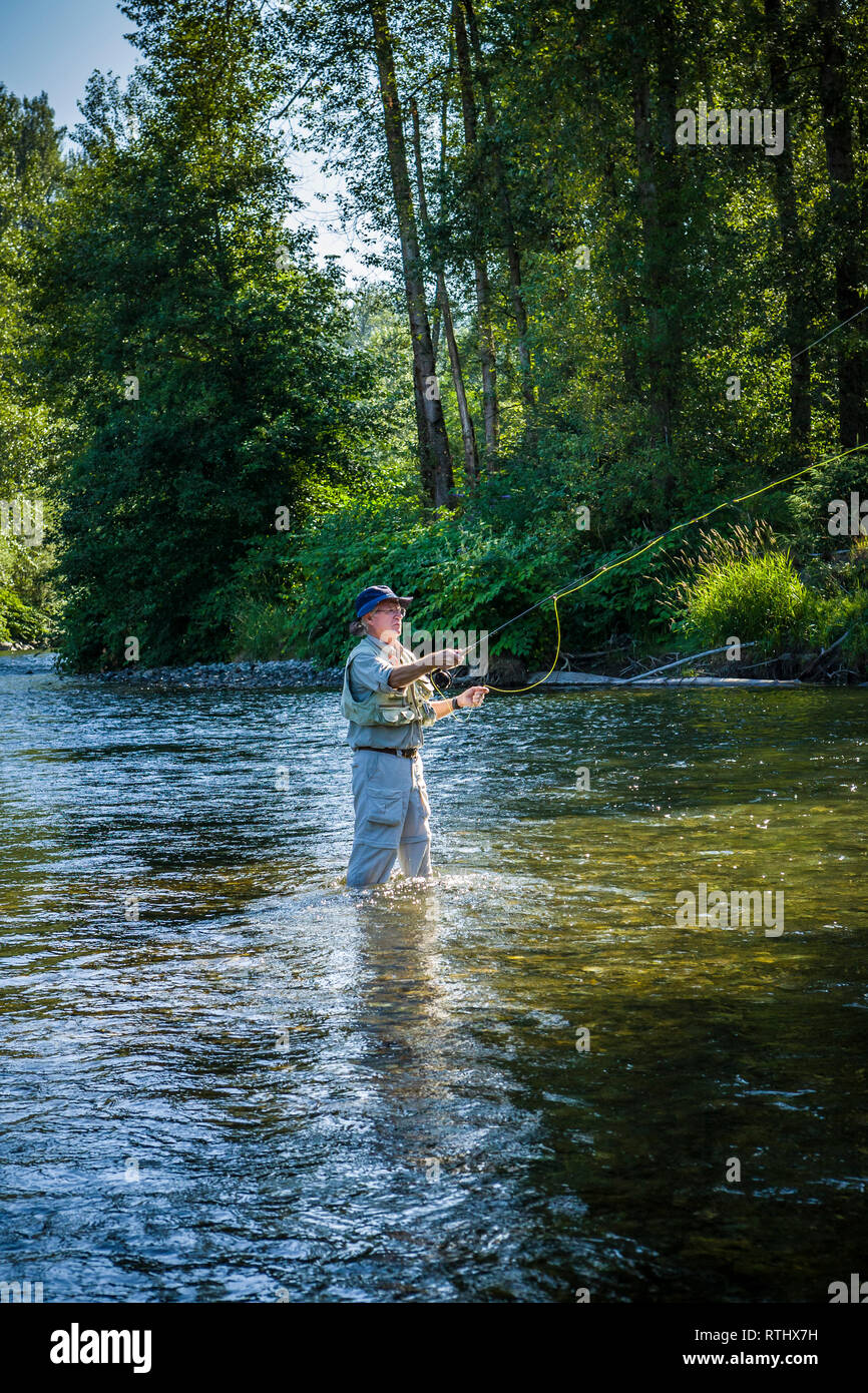 Ein 70 Jahre alter Mann Fliegenfischen in der Cedar River, Western Washington, USA. Stockfoto