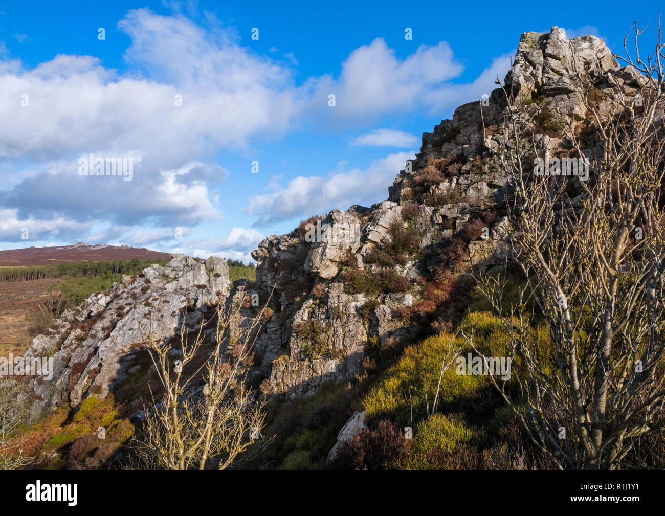 Die Aussicht nach Norden entlang der Stiperstones ridge aus Nipstone Rock, Shropshire. Stockfoto