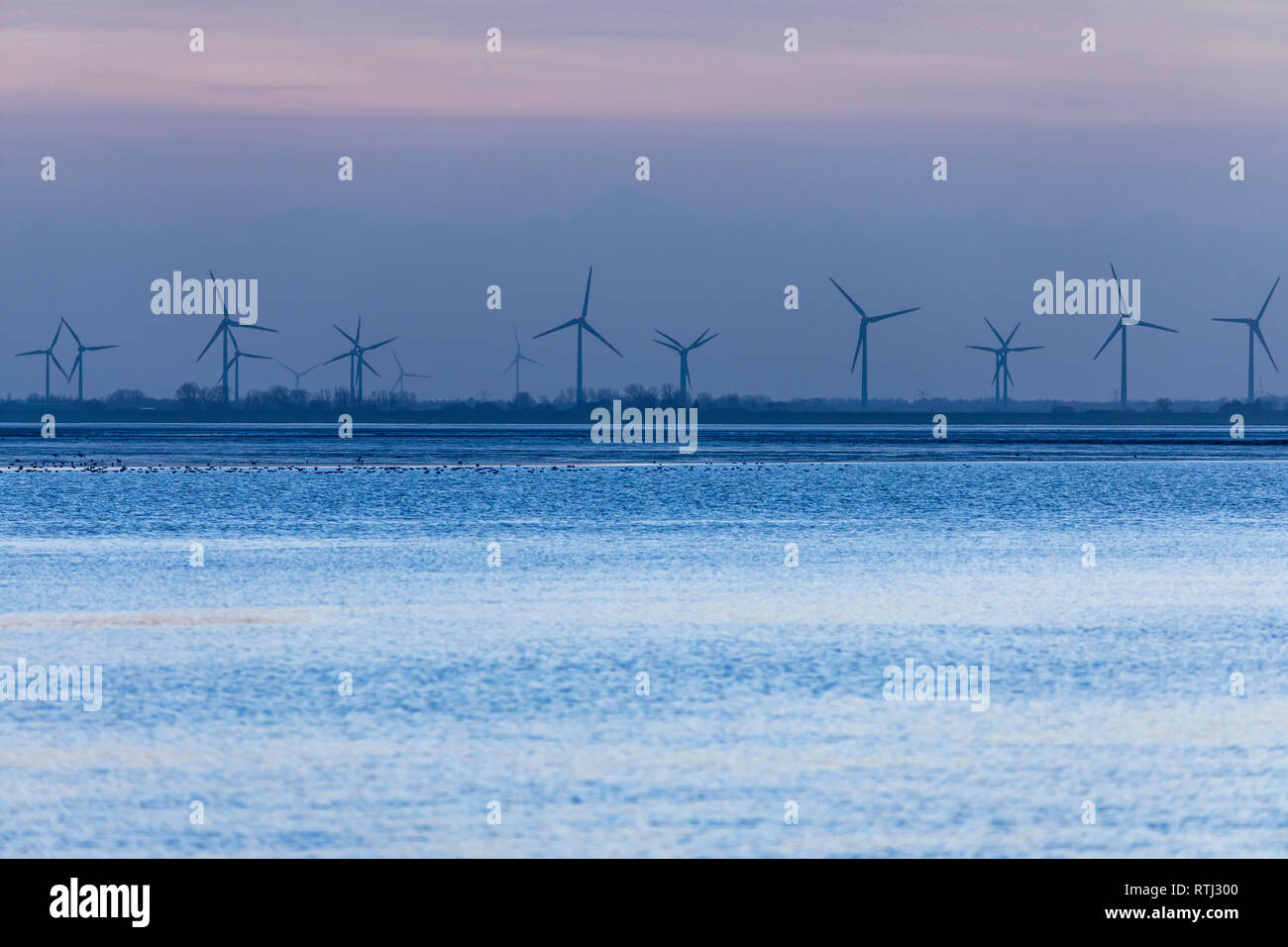 Wilhelmshaven, am Südstrand, Jadebusen, Meeresbucht, Friesland, Winter, Regenwetter, Windpark, Stockfoto