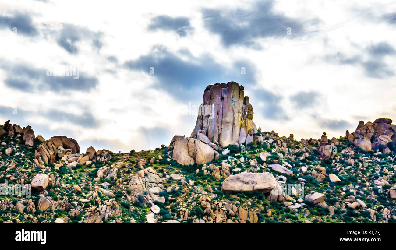 In der Nähe der Felsen mit dem Namen Tom's Daumen in der McDowell Mountain Range um Phoenix, Arizona Stockfoto