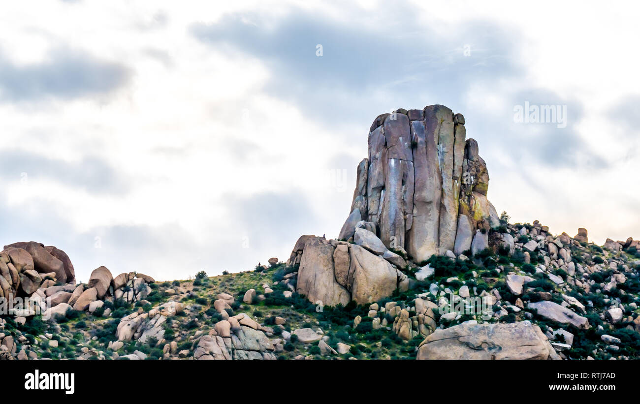 In der Nähe der Felsen mit dem Namen Tom's Daumen in der McDowell Mountain Range um Phoenix, Arizona Stockfoto