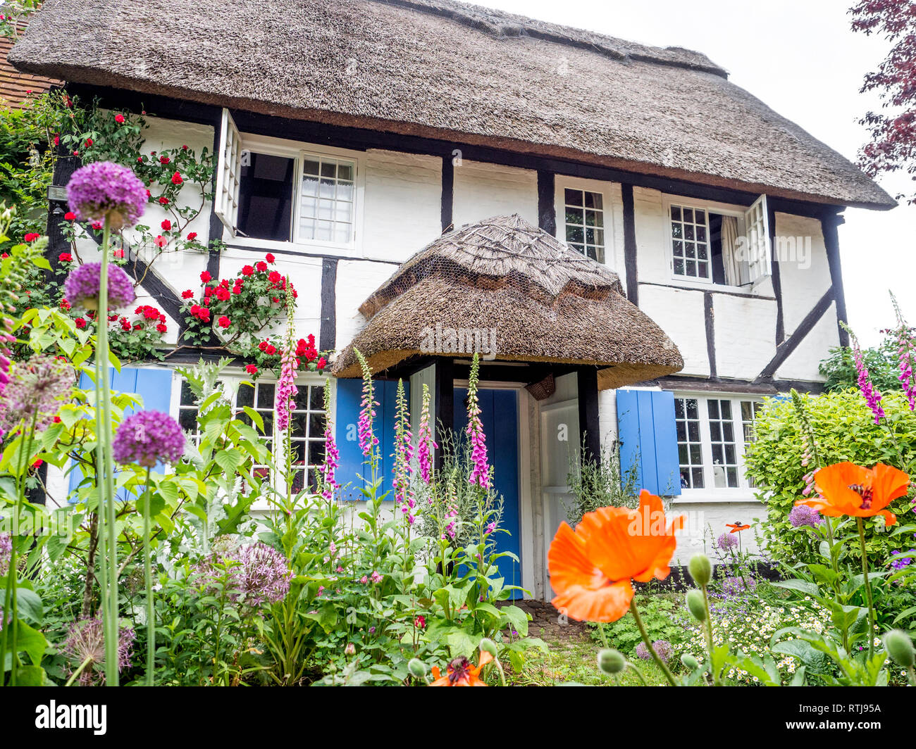 Eine fundamentale Chocolate Box Postkarte typischen reetgedeckten alten Tudor Jacobean Englisch Ferienhaus mit Garten in voller Blüte Stockfoto