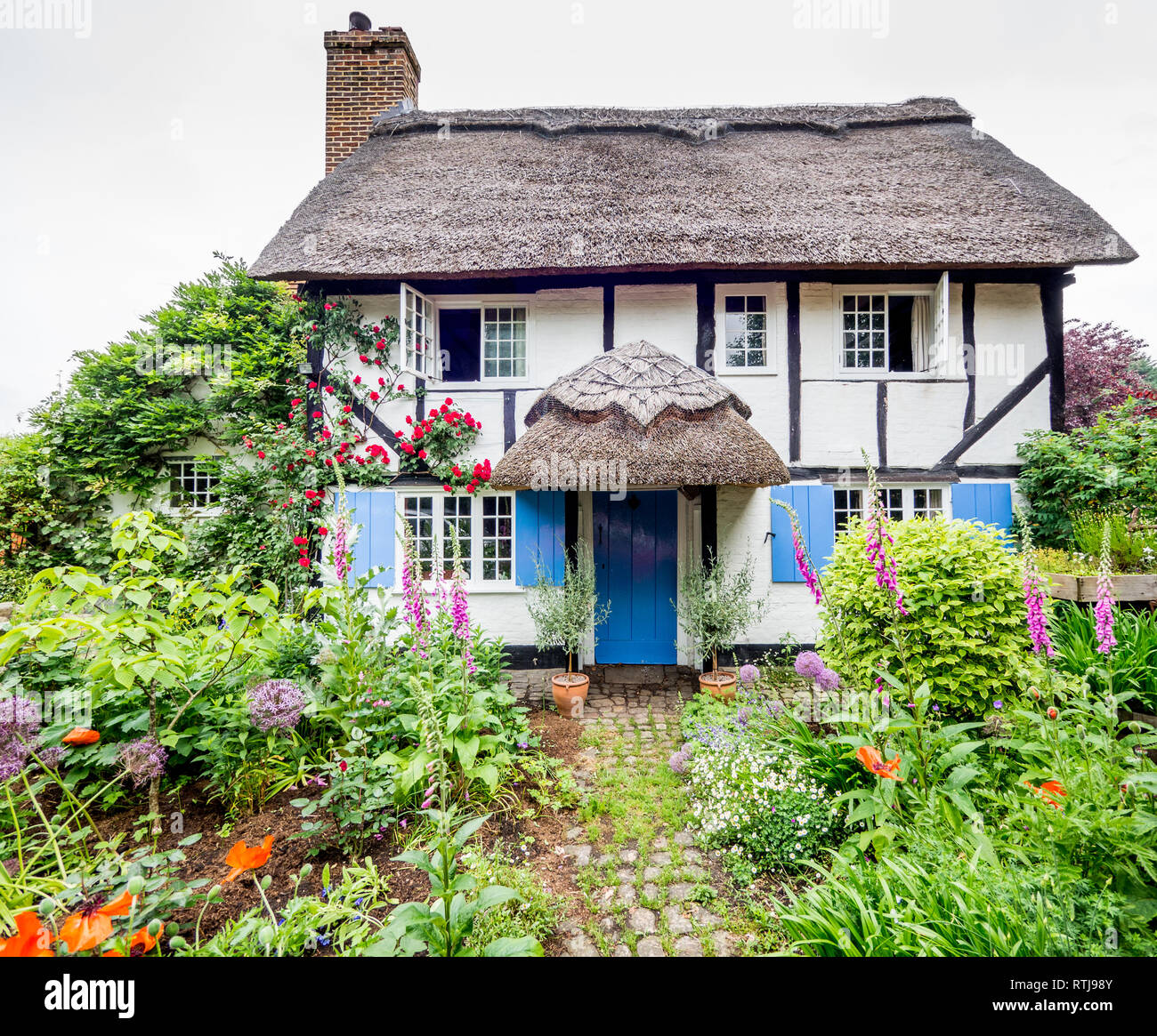 Eine fundamentale Chocolate Box Postkarte typischen reetgedeckten alten Tudor Jacobean Englisch Ferienhaus mit Garten in voller Blüte Stockfoto