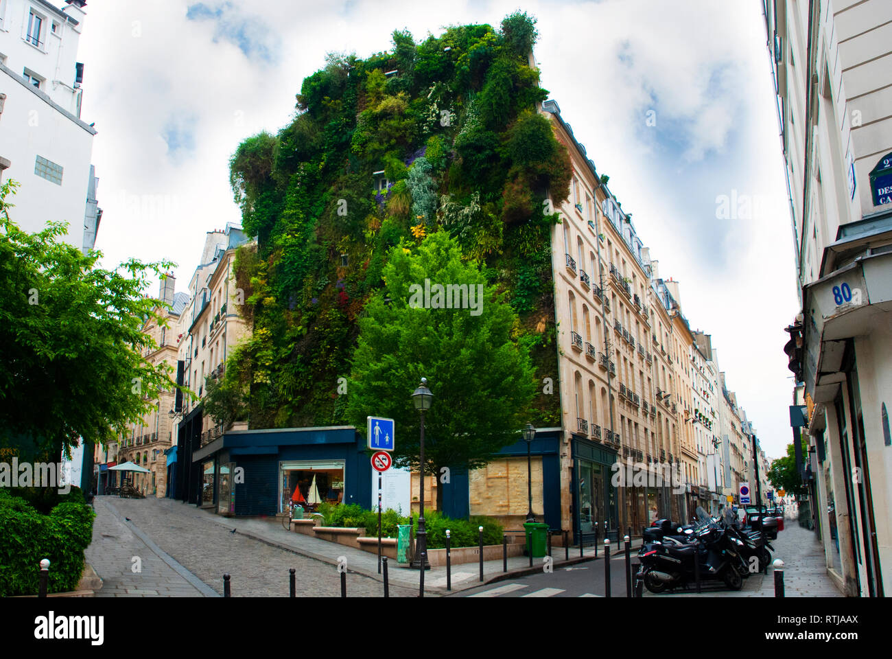 Bäume und Pflanzen über Palace in Paris. Frankreich Stockfoto