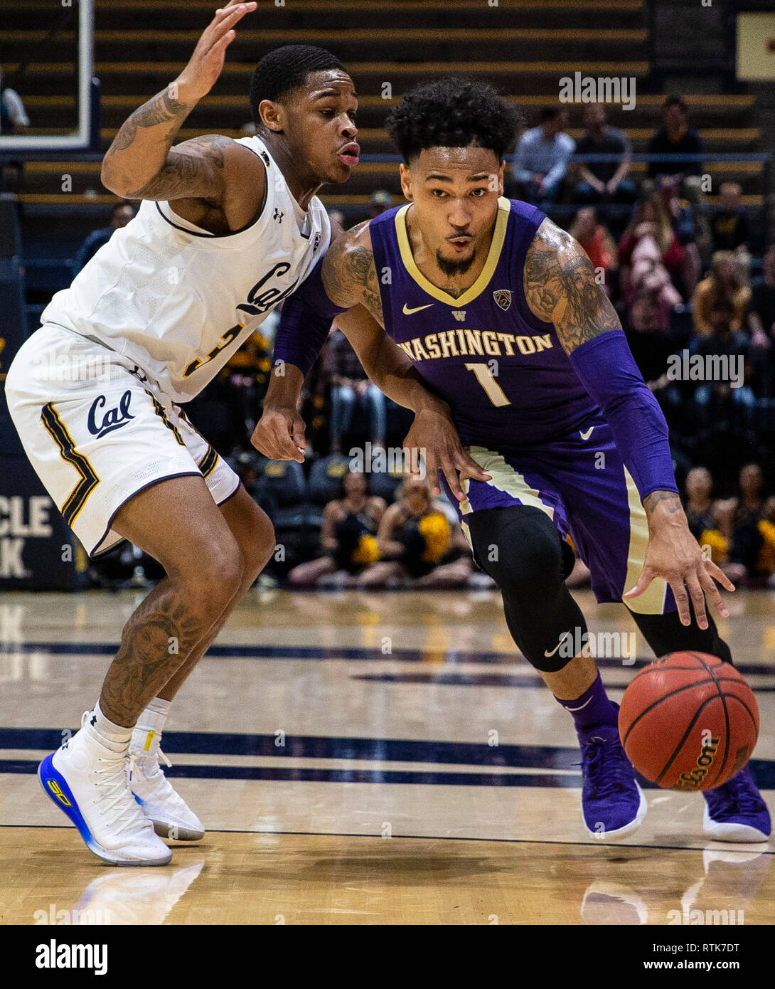 Hass Pavillon Berkeley Calif, USA. 28 Feb, 2019. CA, USA Washington guard David Crisp (1) treibt zum Korb beim Basketballspiel der NCAA Men zwischen der AP auf Platz 25 Washington Schlittenhunde und den Kalifornien goldenen Bären 73-76 an Hass Pavillon Berkeley Calif Thurman James/CSM/Alamy Leben Nachrichten verloren Stockfoto