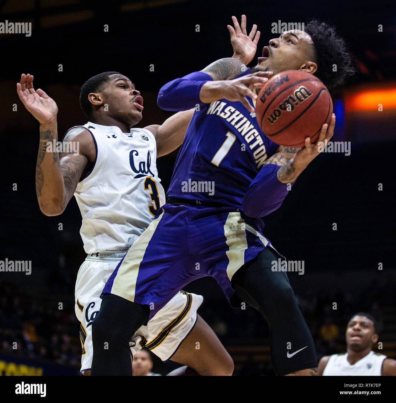 Hass Pavillon Berkeley Calif, USA. 28 Feb, 2019. CA, USA Washington guard David Crisp (1) treibt zum Korb beim Basketballspiel der NCAA Men zwischen der AP auf Platz 25 Washington Schlittenhunde und den Kalifornien goldenen Bären 73-76 an Hass Pavillon Berkeley Calif Thurman James/CSM/Alamy Leben Nachrichten verloren Stockfoto