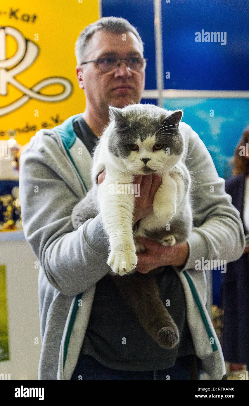 Havelland Deutschland 02 März 2019 Brandenburg