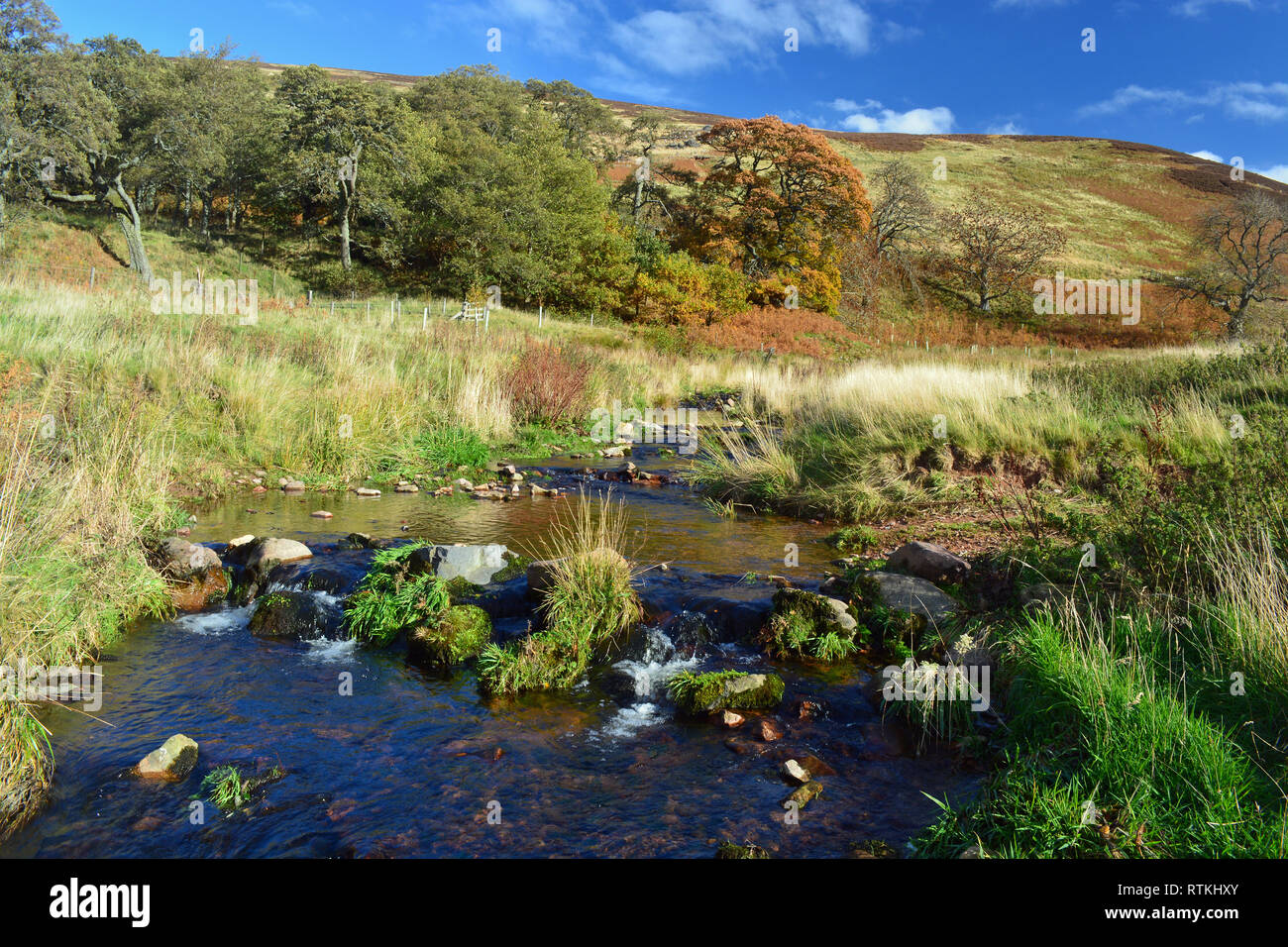 College-Tal, Northumberland Stockfoto