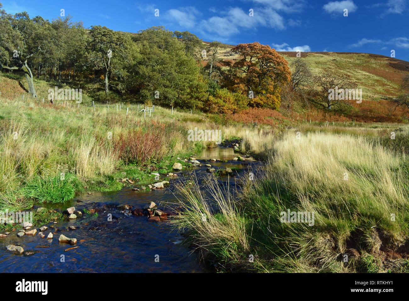 College-Tal, Northumberland Stockfoto