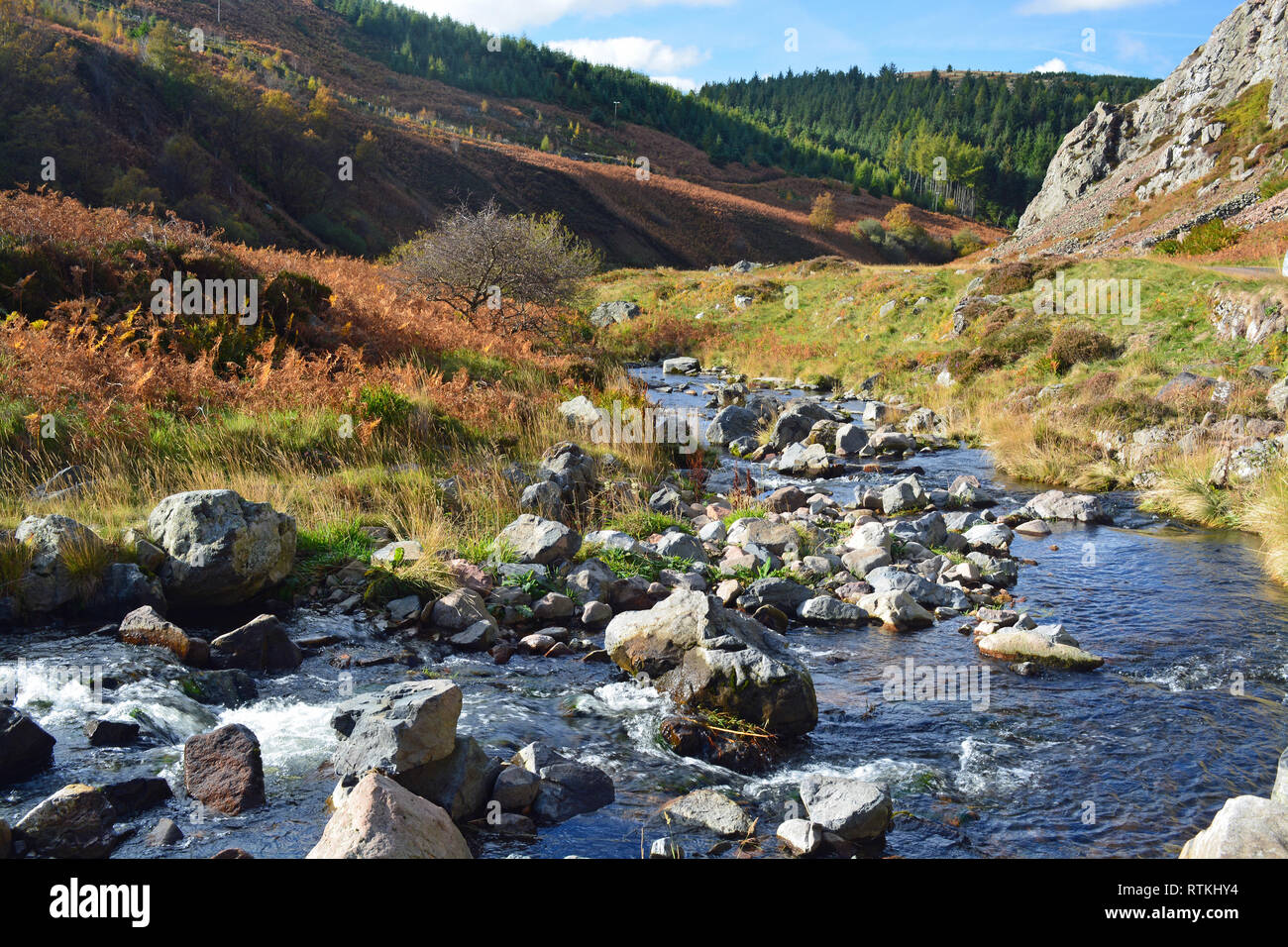 College-Tal, Northumberland Stockfoto