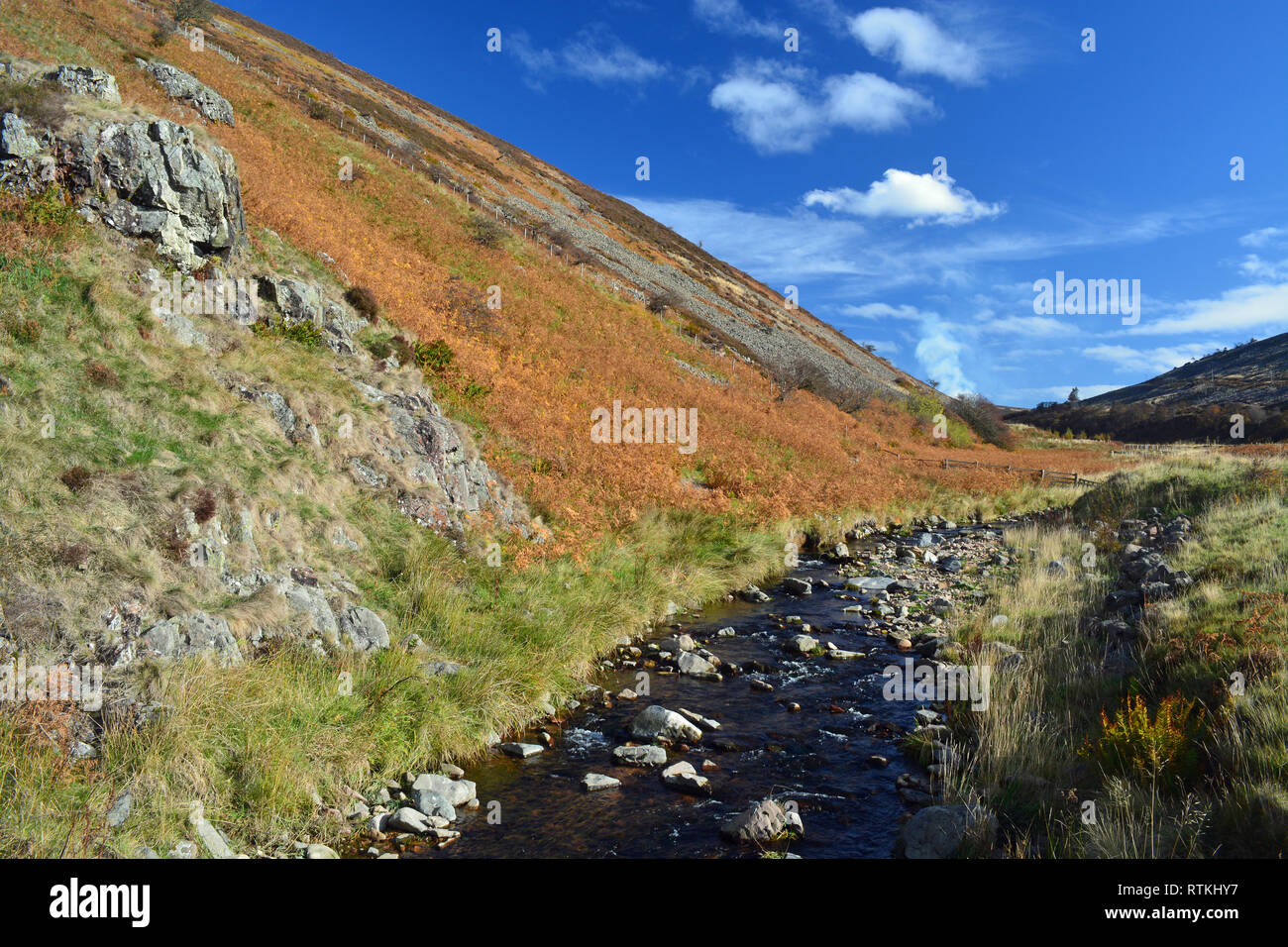 College-Tal, Northumberland Stockfoto