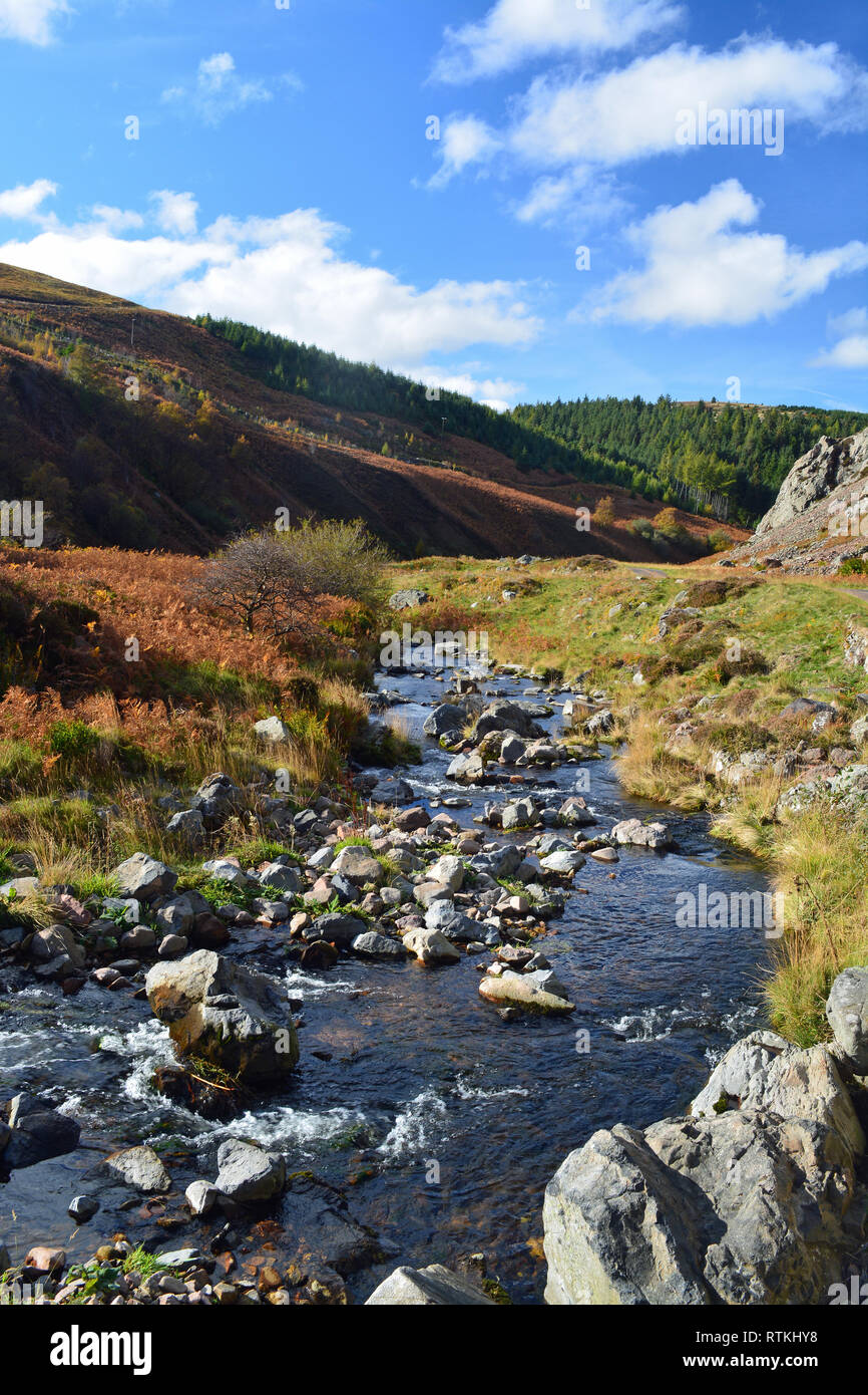 College-Tal, Northumberland Stockfoto
