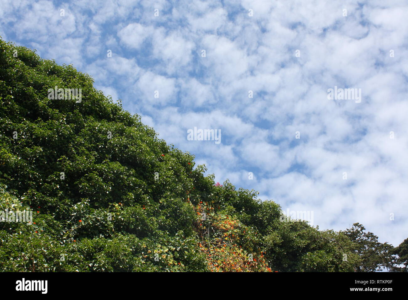 Das Land und Himmel machen eine schöne Kombination. Sie nehmen jeweils die Hälfte der Foto- und irgendwie gegenseitig ausgleichen. Stockfoto