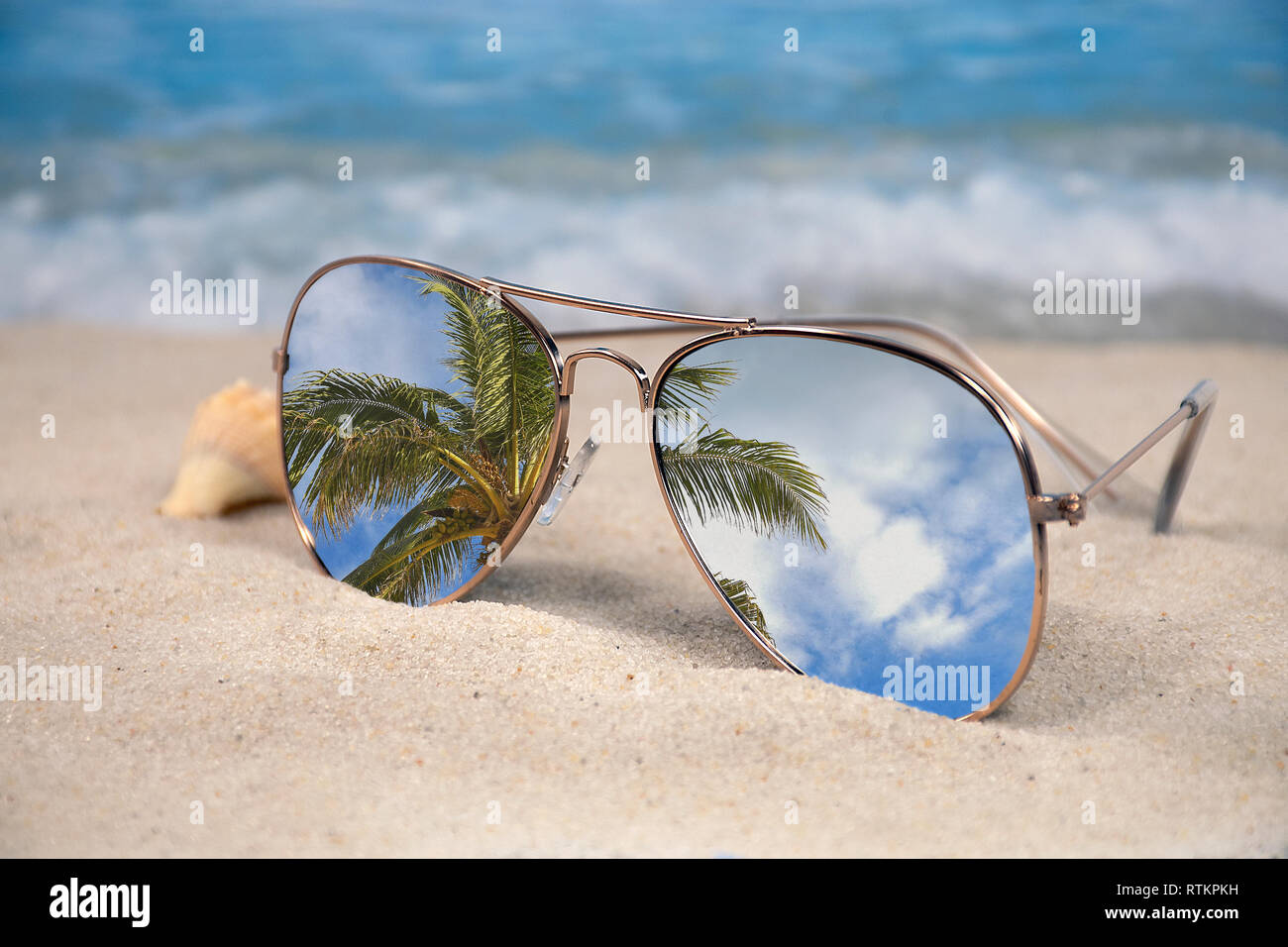 Tropische Palme Reflexion in der Sonnenbrille mit Muschel im Sand Stockfoto