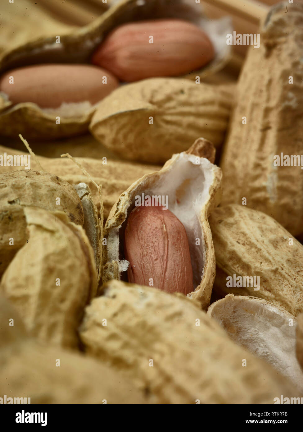 Erdnüsse essen Still life Foto Stockfoto