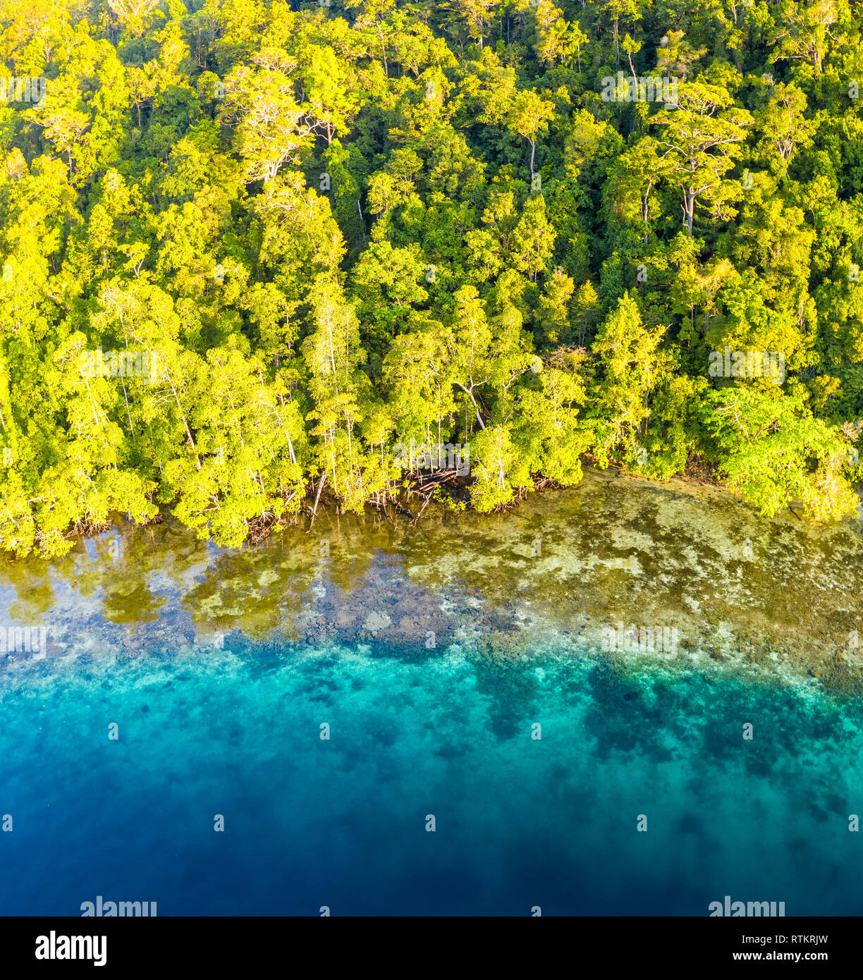 Luftaufnahme von korallenes Riff und Regenwald, Raja Ampat Inseln, West Papua, Indonesien, Pazifischer Ozean Stockfoto