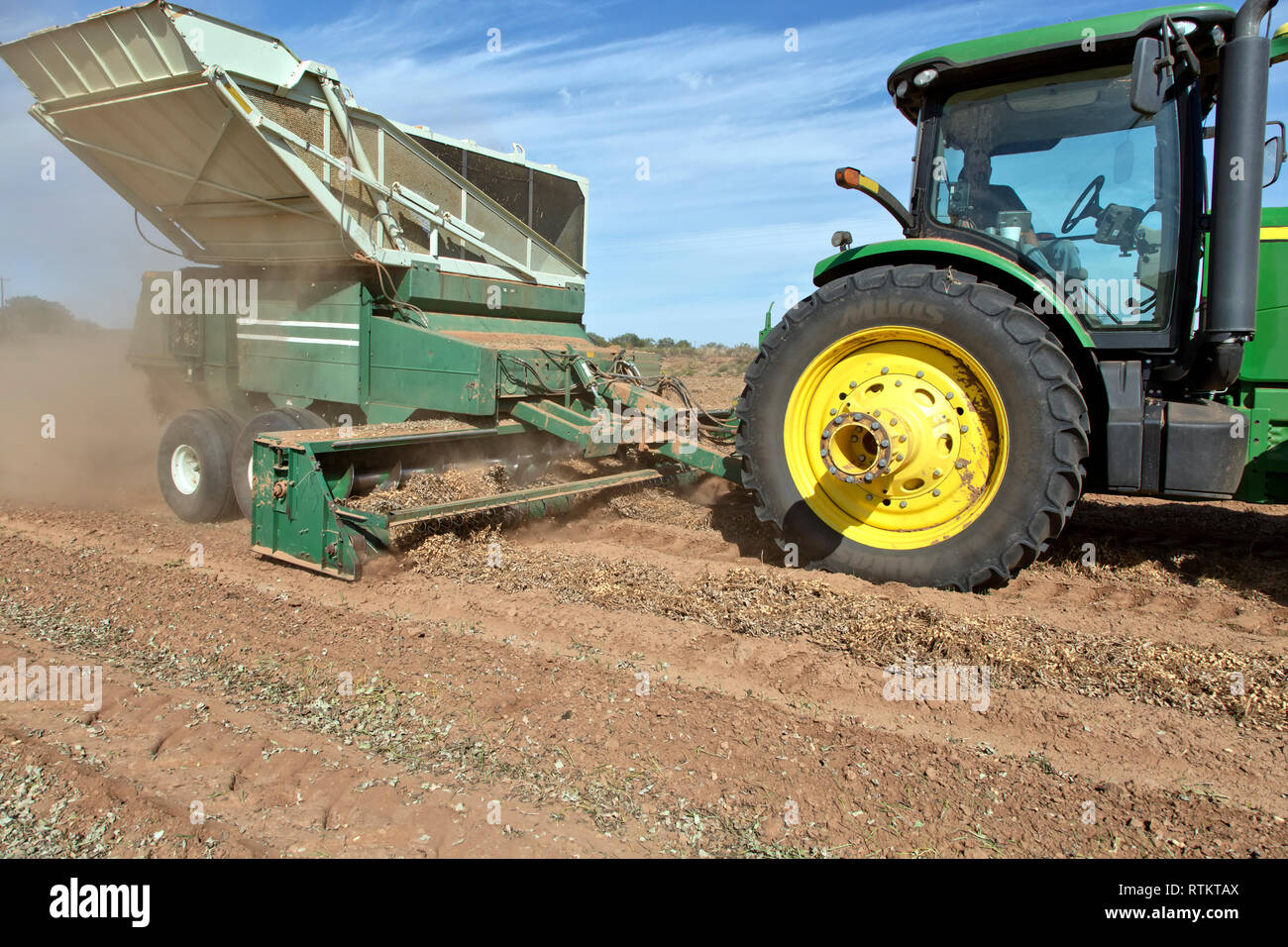 John Deere 8100 Traktor Abschleppen des Mähdreschers Erntevorsatz ERDNUSS Arachis hypogaea Zuschneiden,''. Stockfoto