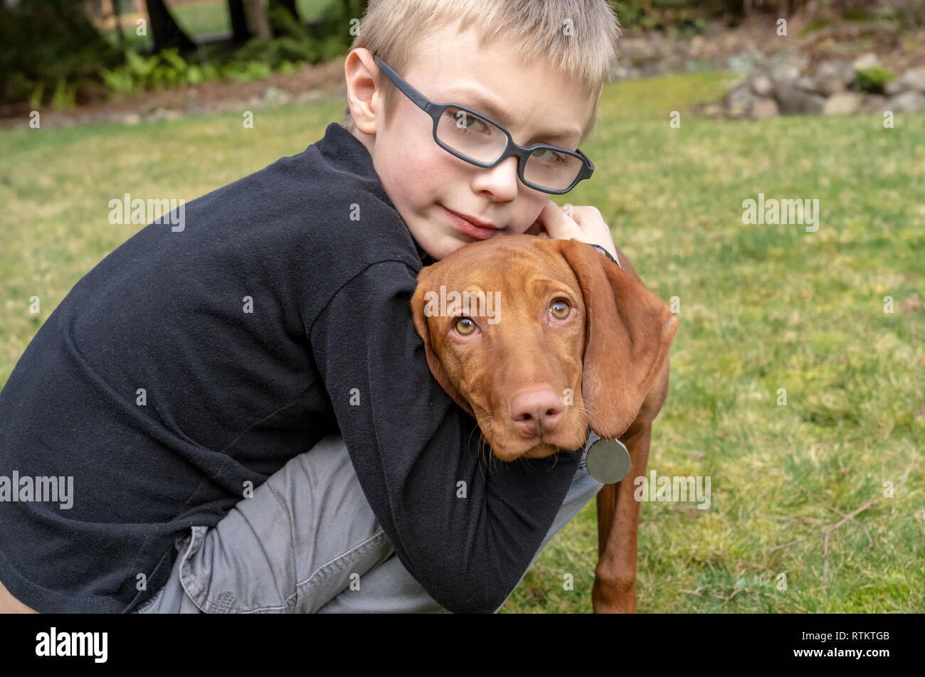 Issaquah, Washington, USA. Sechs Jahre alten Jungen seine fünf Monate alten Vizsla Welpen 'Pfeffer' umarmen. Stockfoto