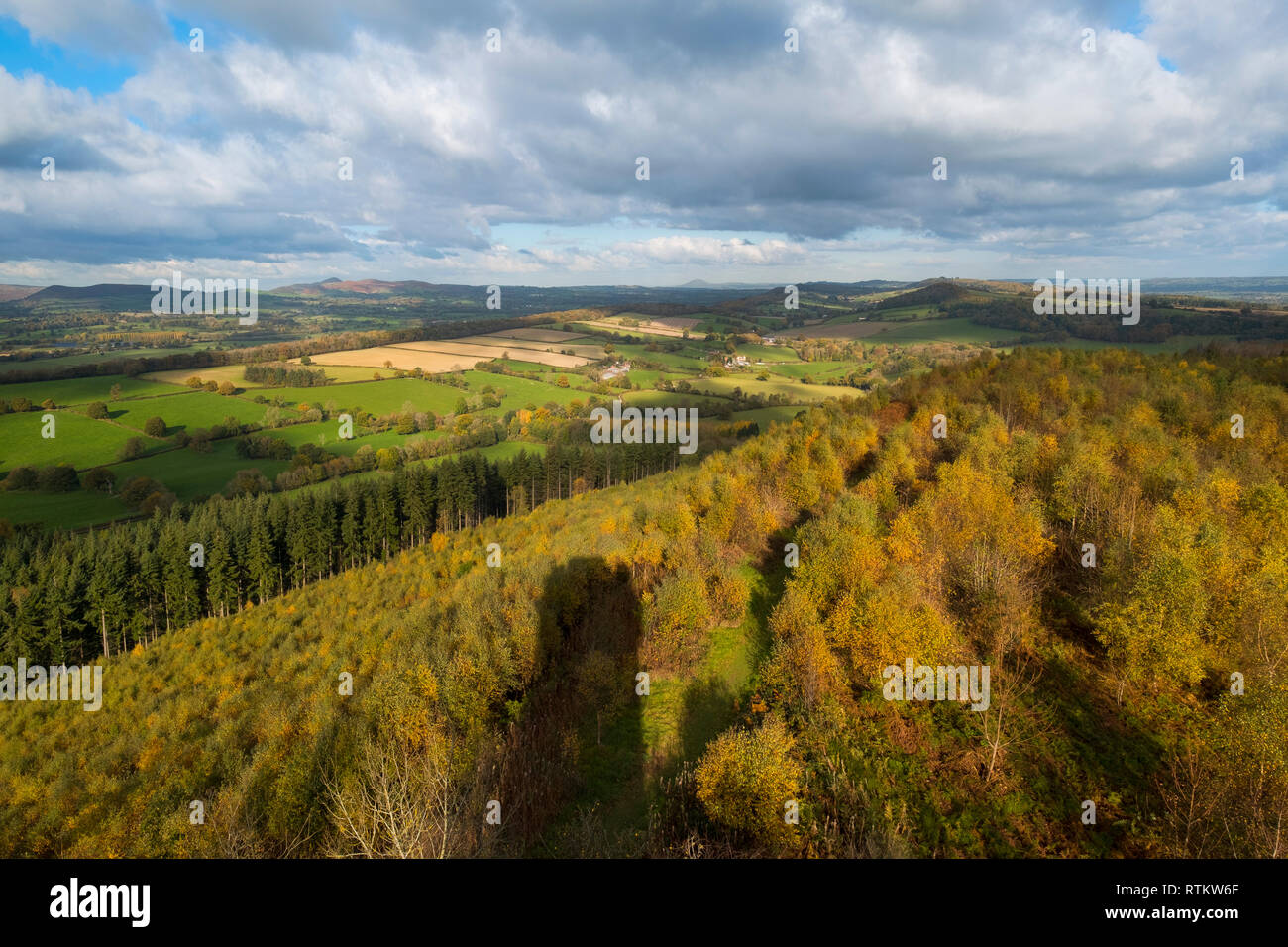 Der Schatten der Flundern' Torheit auf dem Shropshire Landschaft in der Nähe von Craven Arms, Shropshire, England, UK. Stockfoto