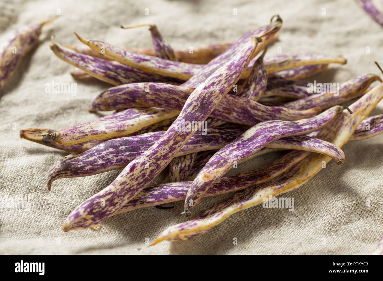 Organic lila Drachen Zunge Bohnen bereit zu Kochen Stockfoto