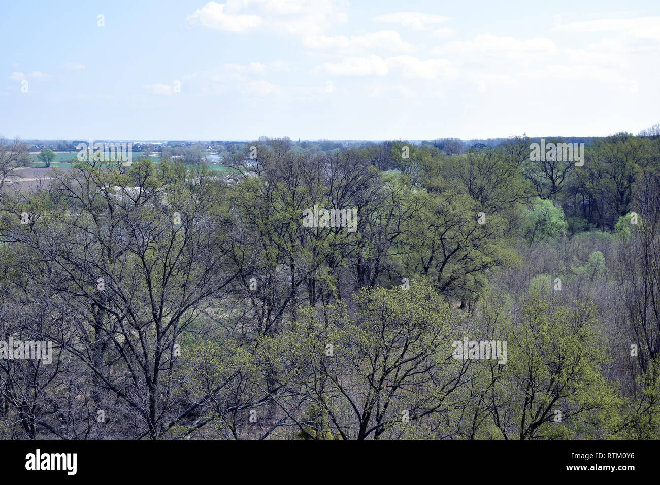 Luftaufnahme auf'Grady odrzanskie' - Odra River in der Nähe von Breslau. Natur Schutzgebiete "Natura 2000". Dolnoslaskie, Polen. Stockfoto