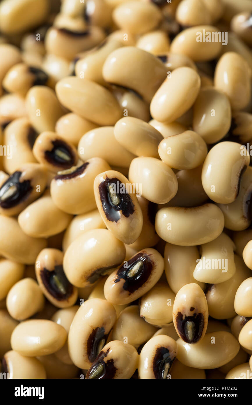 Raw Organic frischen schwarzen Auge Erbsen in eine Schüssel geben. Stockfoto