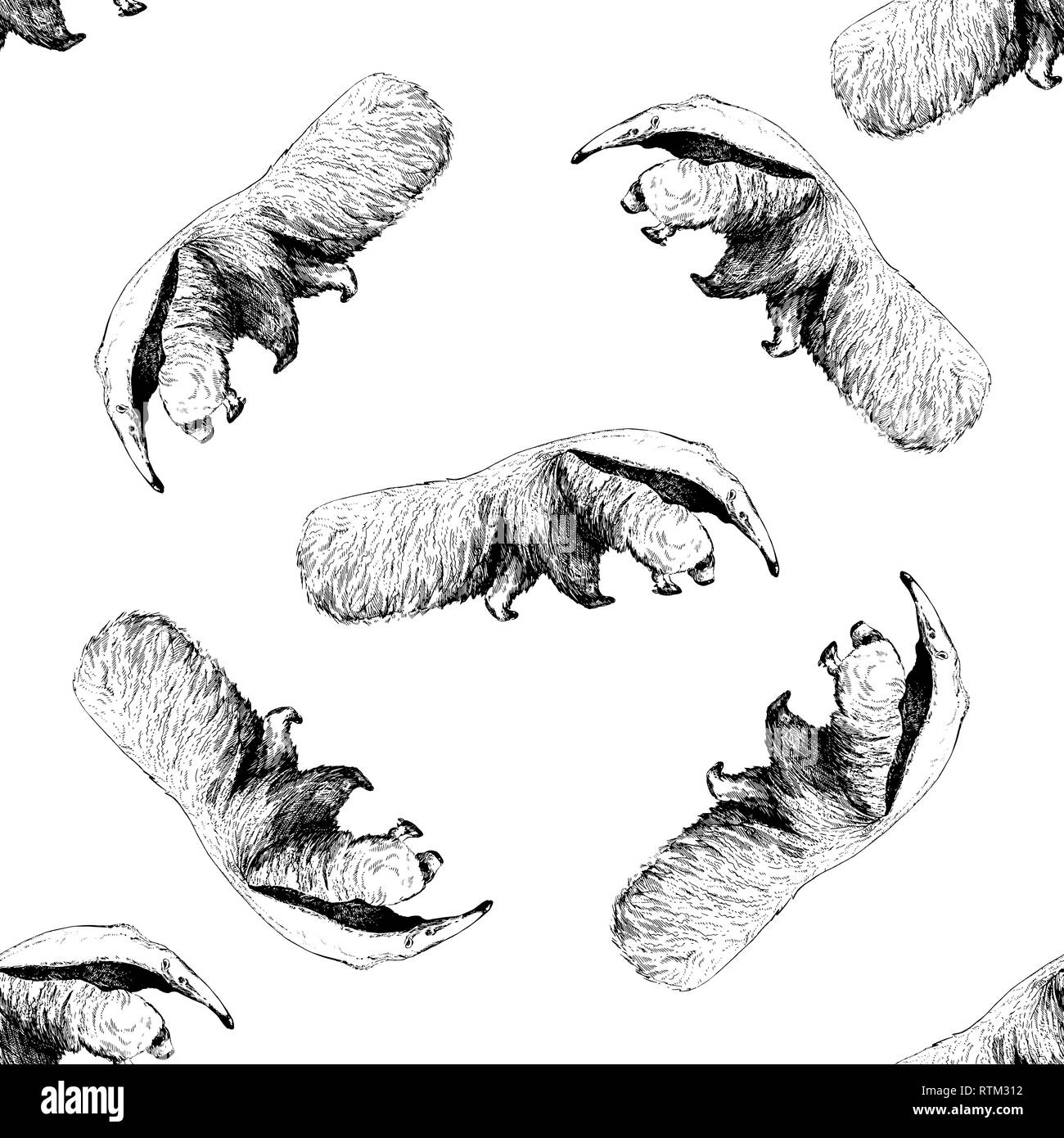 Nahtlose Muster von Hand gezeichnete Skizze stil Großen Ameisenbären auf weißem Hintergrund. Vector Illustration. Stock Vektor