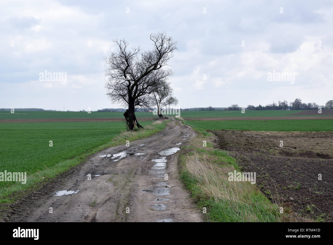 Landschaft der Schmutz der Straße durch das Feld. Stockfoto