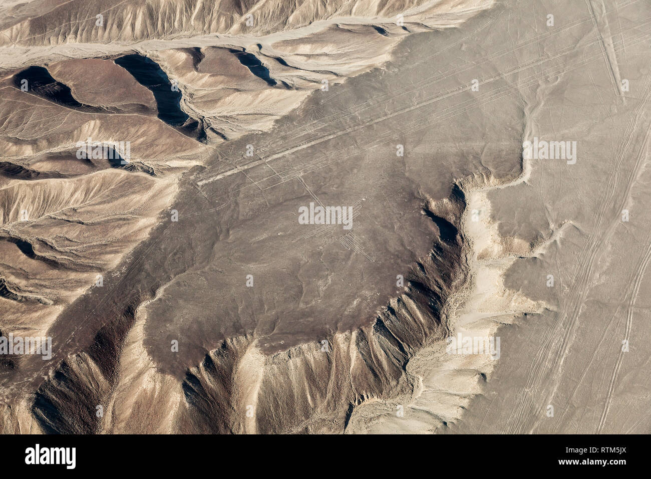 Luftaufnahme der Nazca Linien, dem Kolibri, Peru Stockfoto