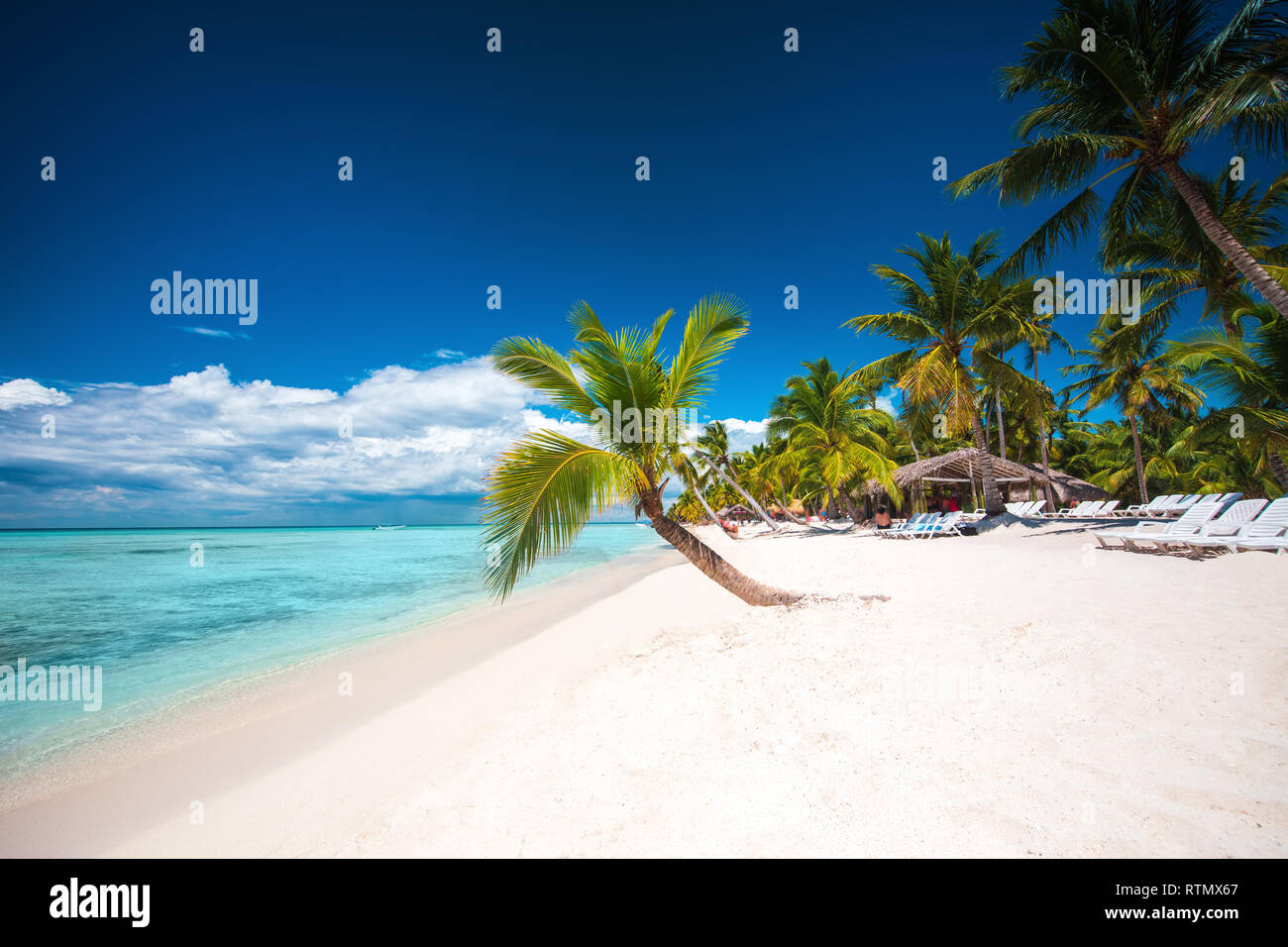 Palmen am weißen Sandstrand in der Karibik, Saona Insel. Dominikanische Republik. Stockfoto