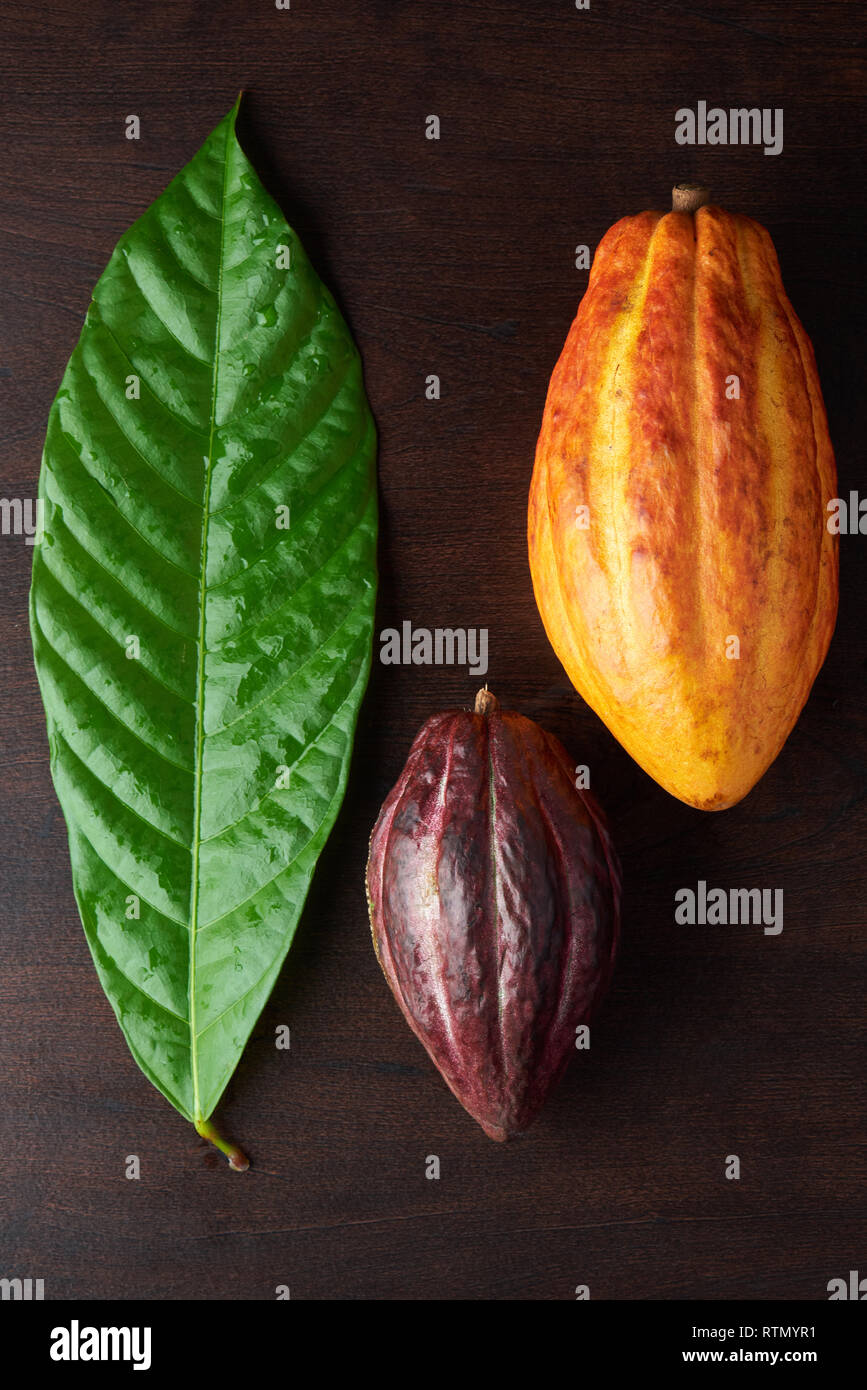 Bunte Kakao Thema. Rohkakao pflanzen Früchte auf hölzernen Schreibtisch Stockfoto