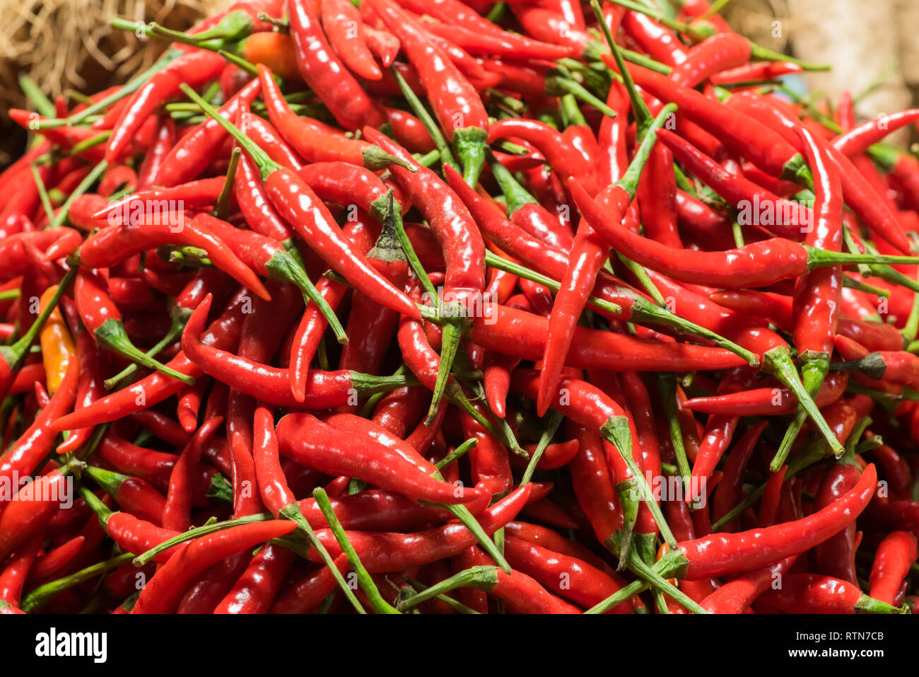 Haufen roter Chili Pfeffer im Korb auf einem Markt Stockfoto