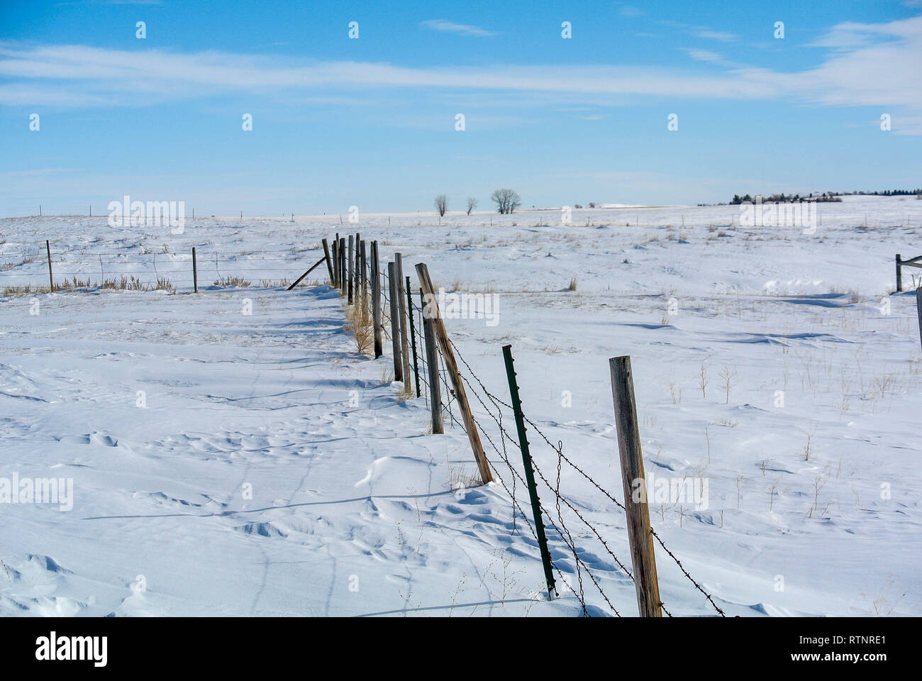 Eine weide zaun im Winter, northcentral Montana Stockfoto