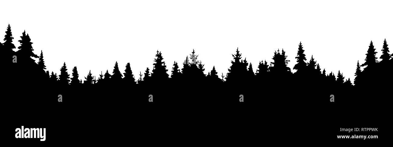 Wald von Nadelbäumen, silhouette vector Hintergrund Stock Vektor