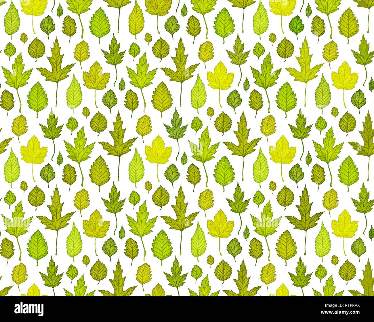 Nahtlose Muster Hintergrund mit grünen Blättern. Vector Illustration Stock Vektor
